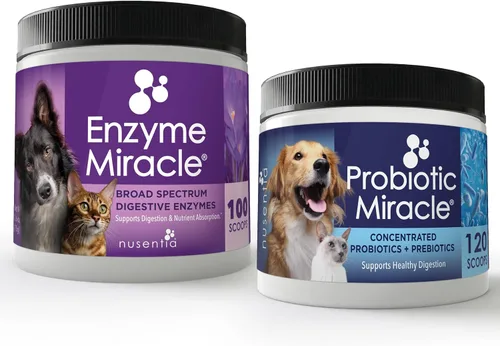 NUSENTIA The Miracle Pack - Probióticos naturales + enzimas digestivas - Prebióticos - para diarrea, gases, heces sueltas, malestar digestivo y
