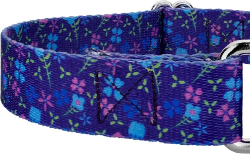 Vista 6 de Country Brook Petz - Collar de perro Martingale, collar de entrenamiento resistente, colección floral vibrante con diseños encantadores, campos