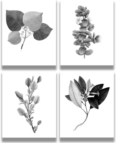 Arte de pared en blanco y negro para sala de estar, baño, decoración de pared vintage para dormitorio, botánico rústico, 4 piezas de 11 x 14