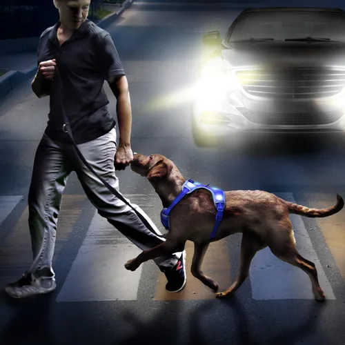 Vista 6 de Arnés para perro con luz, arnés LED recargable, chaleco reflectante ajustable, luces de perro que brillan en la oscuridad para caminar por la noche