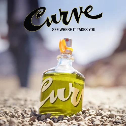 Vista 10 de Curve Espray de fragancia de colonia para hombre, aroma magnético de madera picante para día o noche, 2.5 onzas líquidas