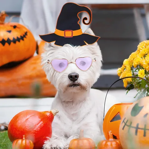 Vista 7 de Konohan 8 lentes de sol con forma de corazón para perros y gatos, lentes de sol de metal para mascotas pequeñas, divertidas gafas de cosplay