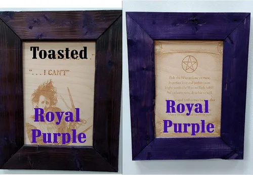 Vista 4 de Curious Owl