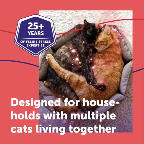 Vista 6 de Feliway MultiCat (48 ml) Relleno de difusor Armonía constante y calma entre gatos en casa