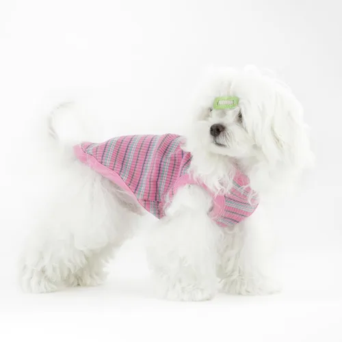 Vista 7 de Eleva la comodidad y la moda de tu mascota chaleco de algodón 100% acanalado para perros de razas pequeñas como chihuahuas, yorkies y cachorros.