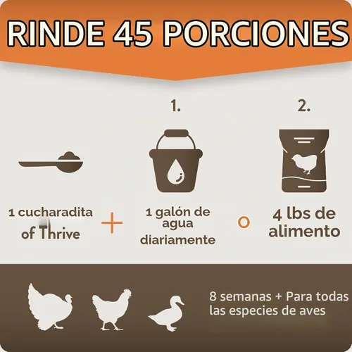 Vista 6 de FlockLeader Arrive, Suplemento diario de aves de corral para pollitos bebés de 0 a 8 semanas, 8 onzas A daily supplement for young poultry 0-8 weeks