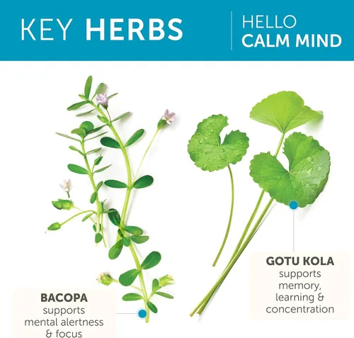 Vista 4 de Himalaya Hello Calm Mind - Suplemento de hierbas con bacopa, L-teanina, Gotu Kola, apoya la concentración y la concentración, la función cognitiva