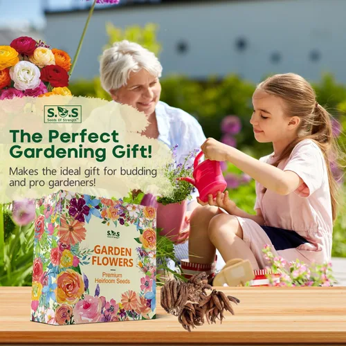 Vista 3 de Bulbos de ranúnculo de peonía mixta, ranúnculo persa, 10 bulbos de bulbos de bulbos florecientes planta de jardín de raíz bulbosa perenne