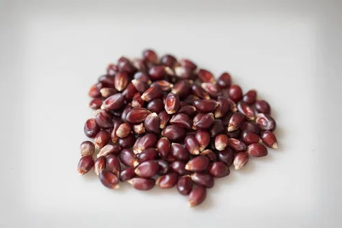 Vista 2 de Amish Country Popcorn Bolsa de 1 libra Granos de palomitas rojas Anticuado, sin OMG y sin gluten (rojo, bolsa de 1 libra)