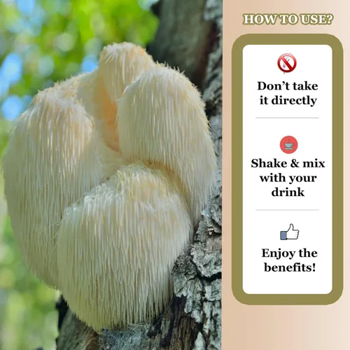 Vista 5 de 10-in-1Mushroom Complex Liquid Drops, Lions Mane Mushroom Supplement Blend w/Cordyceps Sinensis, Reishi, Turkey Tail, Maitake, Chaga and More for