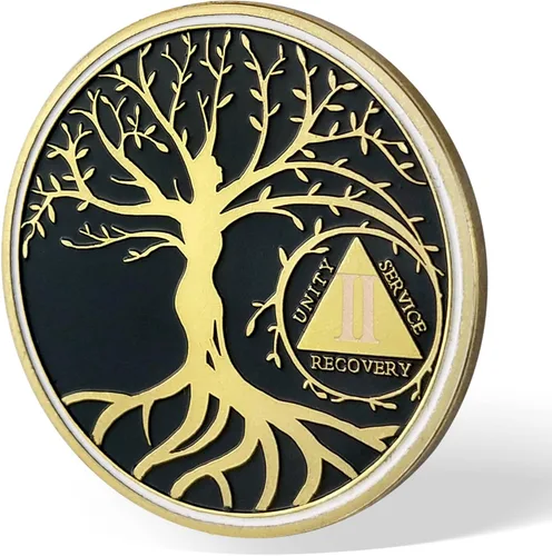 Vista 2 de Chip de sobriedad del árbol de la vida de 2 años, chips AA y medallones – Moneda de recuperación de sobriedad Regalos de sobriedad para celebrar