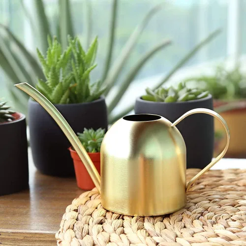 Vista 3 de Regadera de acero inoxidable para plantas de interior y jardín (Oro 15 oz)