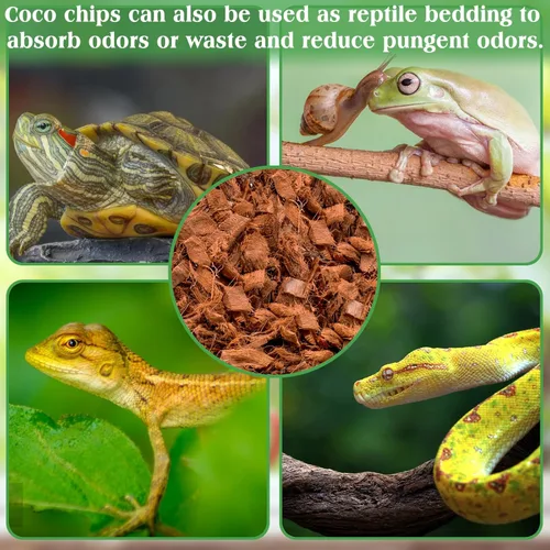 Vista 7 de ZeeDix 4 chips de fibra de coco de 4.4 libras, medio de cultivo de ladrillos de coco para plantas, baja EC, pH equilibrado, sustrato de cáscara