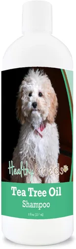 Vista 129 de Healthy Breeds Chow Chow Champú de aceite de árbol de té, formulado para pieles secas e irritadas, reduce la caspa, aroma de gaulteria, 8 onzas