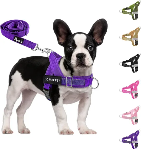 Vista 12 de SlowTon Arnés sin tirones para perro, juego de arnés y correa resistente para perros medianos y grandes, arnés táctico reflectante con acolchado