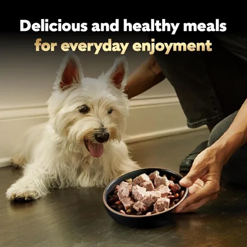 Vista 9 de Cesar - Comida húmeda gourmet para perros en paquete variado de 12 unidades (paquete de 2)