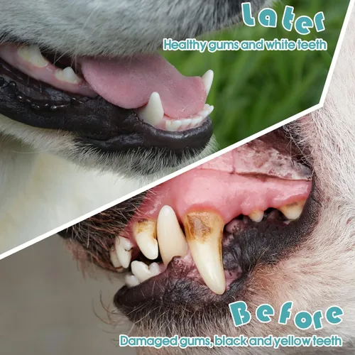 Vista 4 de Gerrii Cepillo de dientes para perros, 200 unidades, cepillo de dientes de doble cabeza, mango largo, kit de cepillado de dientes de perro, cerdas
