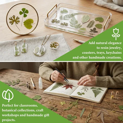 Vista 4 de Alipis Dried Pressed Flowers and Leaves for Resin Crafts, 162+ Pieces Green Leaves