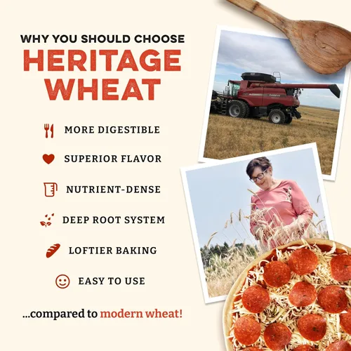 Vista 3 de Sunrise Flour Mill USDA Organic Heritage - Harina de pizza - 2 libras Harina orgánica molida de trigo rojo duro Más fácil de digerir con menos