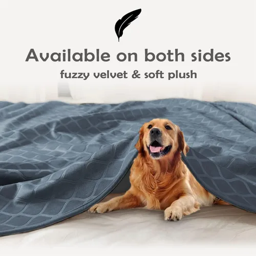 Vista 4 de fuguitex Manta impermeable para perro, funda de cama para perro, terciopelo de cristal, marroquí, mullida, acogedora manta de felpa para mascotas