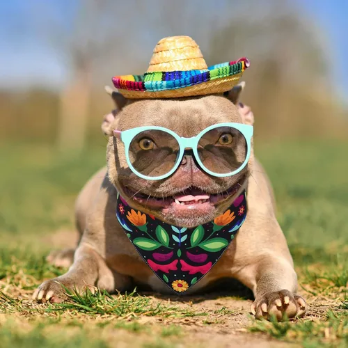 Vista 6 de Whaline Bandana mexicana para perro, bandana floral para perro, cinco de mayo, bufanda para mascotas, bufanda de doble cara ajustable de flores