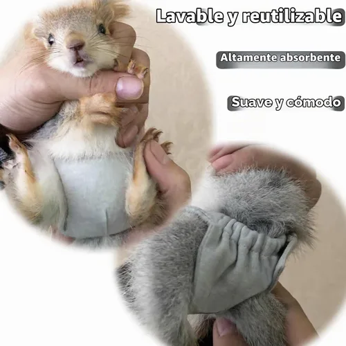Vista 6 de Pañales lavables de ardilla – Pañales de tela reutilizables extra pequeños para mascotas, altamente absorbentes, a prueba de fugas, pantalones 3