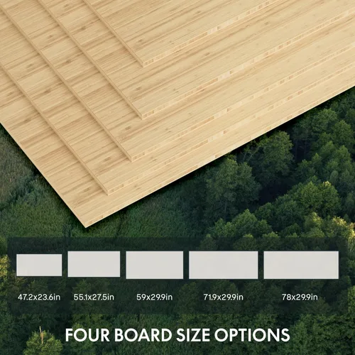 Vista 8 de Pro Bamboo - Escritorio eléctrico de pie con motor dual de 3 etapas, 48 x 24 pulgadas, tabla de escritorio de altura ajustable, escritorio eléctrico