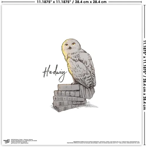 Vista 7 de Gallery Pops Harry Potter - Arte de pared Glimmer Hedwig, versión enmarcada negra, 12 x 12 pulgadas Versión con marco negro