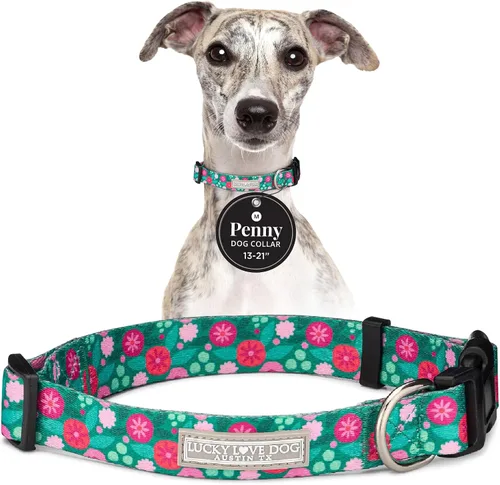 Vista 73 de Lucky Love Dog - Juego de collar y correa, diseño Ladybird Combo de collar de mariquita/correa