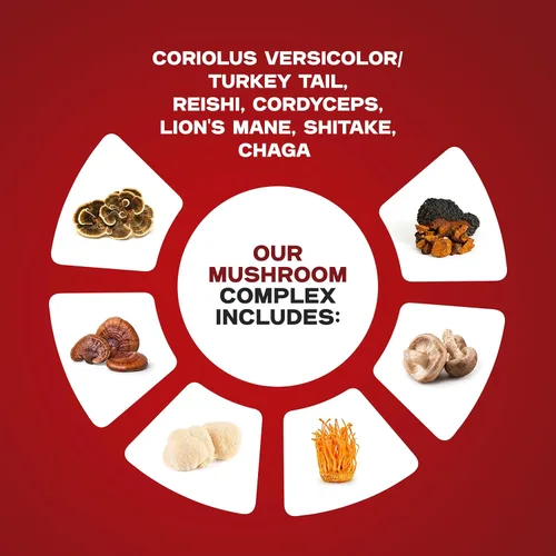 Vista 4 de THE HEALTHY LIFE 4 ME Complejo de hongos líquidos Gotas líquidas a base de hierbas Suplemento de hongos Melena de león, Reishi, Shiitake
