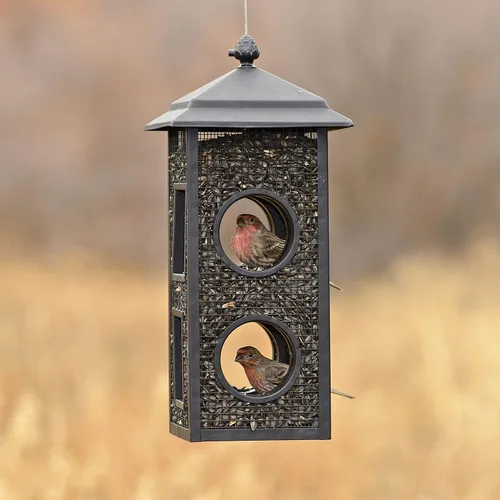 Vista 5 de Perky-Pet B00303 Comedero para pájaros silvestres con vuelo