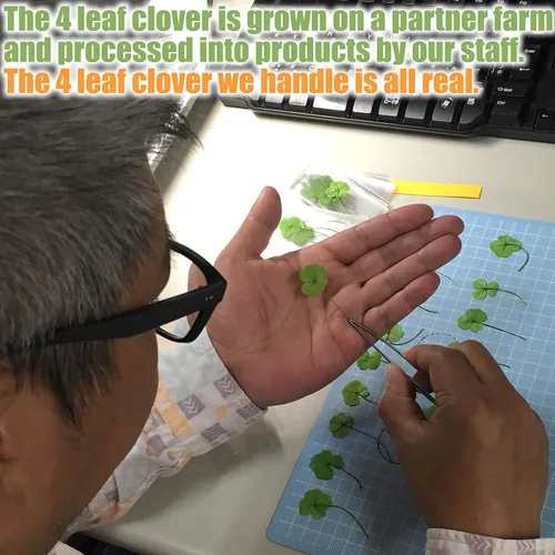 Vista 7 de KIN-HEBI Ficha de bolsillo de buena suerte con trébol de cuatro hojas real, conservada, 1.25 pulgadas