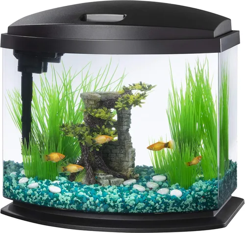 Vista 11 de Aqueon Kit de Acuario Pequeño LED MiniBow con Tecnología SmartClean, Azul, 1 Galón