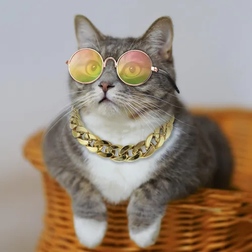 Vista 6 de Weewooday Disfraz de perro y gato, 6 piezas, gafas de sol para mascotas y sombrero de paja de verano con collar de cadena de oro sintético