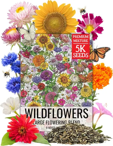 Vista 9 de Seed Needs paquete de venta al por mayor de 30 000 semillas de flores silvestres variadas (15 especies) de sombra parcial no modificadas