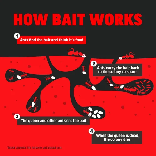 Vista 9 de Amdro Estaciones de cebo asesino de hormigas, paquete de 4