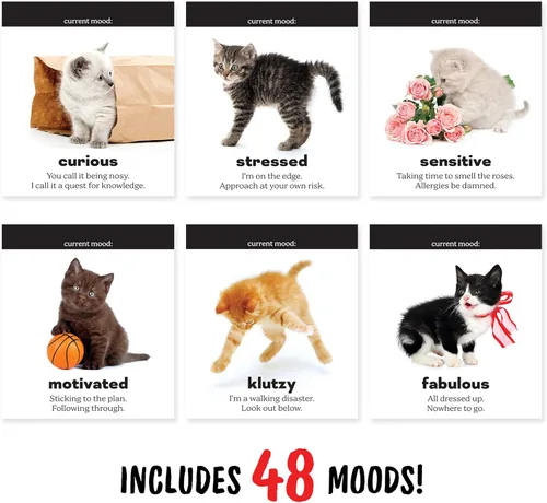 Vista 2 de Genuine Fred Rotafolio de escritorio Daily Cattitude