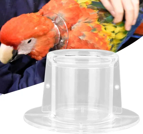 Collar antimordedura para loro para mascotas, collar de loro para mascotas, antimordeduras, curación, protección para el cuello, collar de