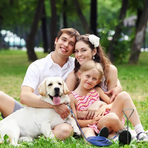 Vista 2 de Dog Tie Out Cable and Anti Rust Spiral Stake , 30ft Outside Leash&Chain for Camping and Yard, 16'' Heavy Duty for Medium-Large Dogs Up to 125 lbs