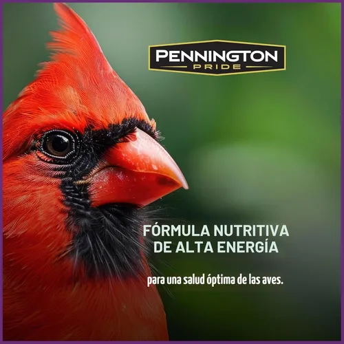 Vista 4 de Pennington - Songbird Nut & Fruit - Mezcla de semillas para pájaros silvestres, 10 libras