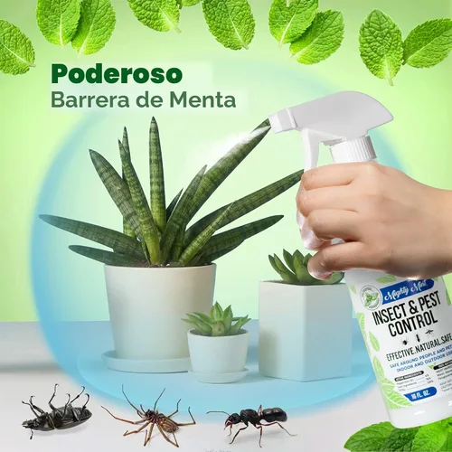 Vista 5 de Mighty Mint Concentrado repelente de insectos de aceite de menta – Control natural de insectos en interiores y exteriores para arañas, hormigas