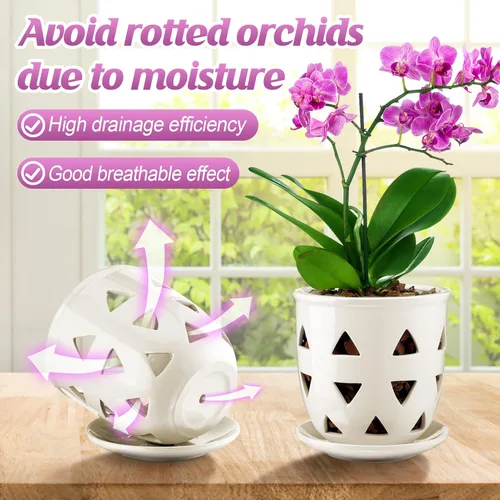 Vista 6 de Aulock Maceta de orquídea de cerámica de 6 pulgadas con agujeros de drenaje, maceta decorativa, excelente flujo de aire para raíces saludables