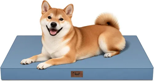 Vista 72 de Cama para perros y gatos pequeños, impermeable, para jaula de huevos, espuma ortopédica con funda Oxford lavable y extraíble, color verde Amy