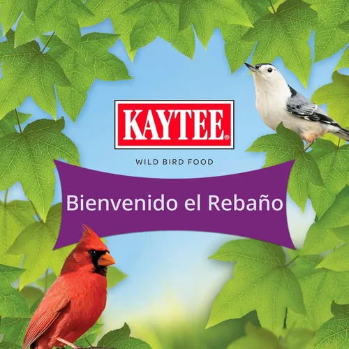 Vista 9 de Kaytee Nut & Fruit - Semilla de ave silvestre, 5 lb