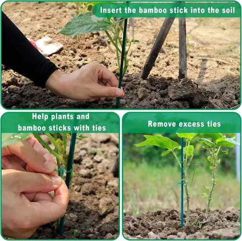 Vista 3 de PERSZEN Estacas para Plantas 50 PCS Varillas de Bambú Verde de Jardín Estacas de Soporte para Plantas de Interior y Exterior, Letrero de Madera
