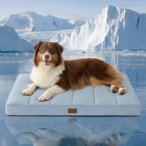 Vista 65 de Bedsure Camas para Perros Pequeños – Camas Planas XS Cómodas para Cachorros con Funda Extraíble Lavable, Colchoneta de Espuma Ortopédica Tipo Cartón