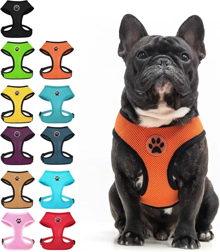Vista 7 de BINGPET Arnés para perro sin tirones, arnés de chaleco tipo step-in de malla para todo clima para perros pequeños, arnés de malla transpirable