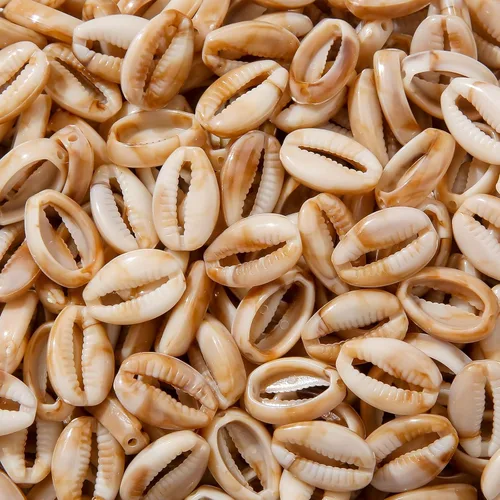 Vista 11 de 200 cuentas acrílicas de conchas de color, cuentas temáticas de océano y mar, cuentas de verano Hawaii para hacer joyas, kit de cuentas, pulseras