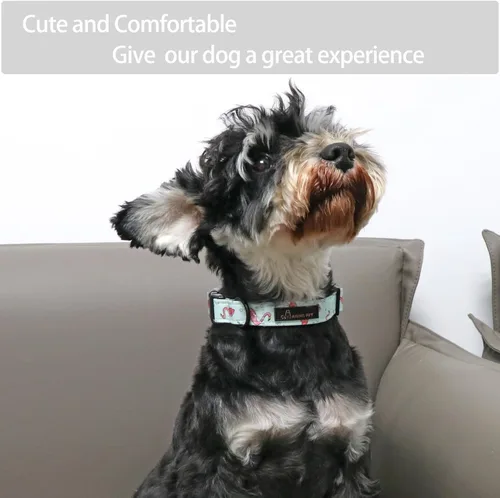 Vista 4 de Aring Pet Collar de algodón, ligero y ajustable, con hebilla de liberación rápida para perros pequeños, medianos y grandes, para cachorros, S