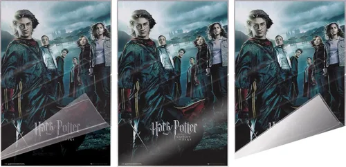 Vista 3 de Harry Potter y el cáliz de fuego - Póster de película (estilo regular) (tamaño: 24 x 36 pulgadas) (póster laminado)